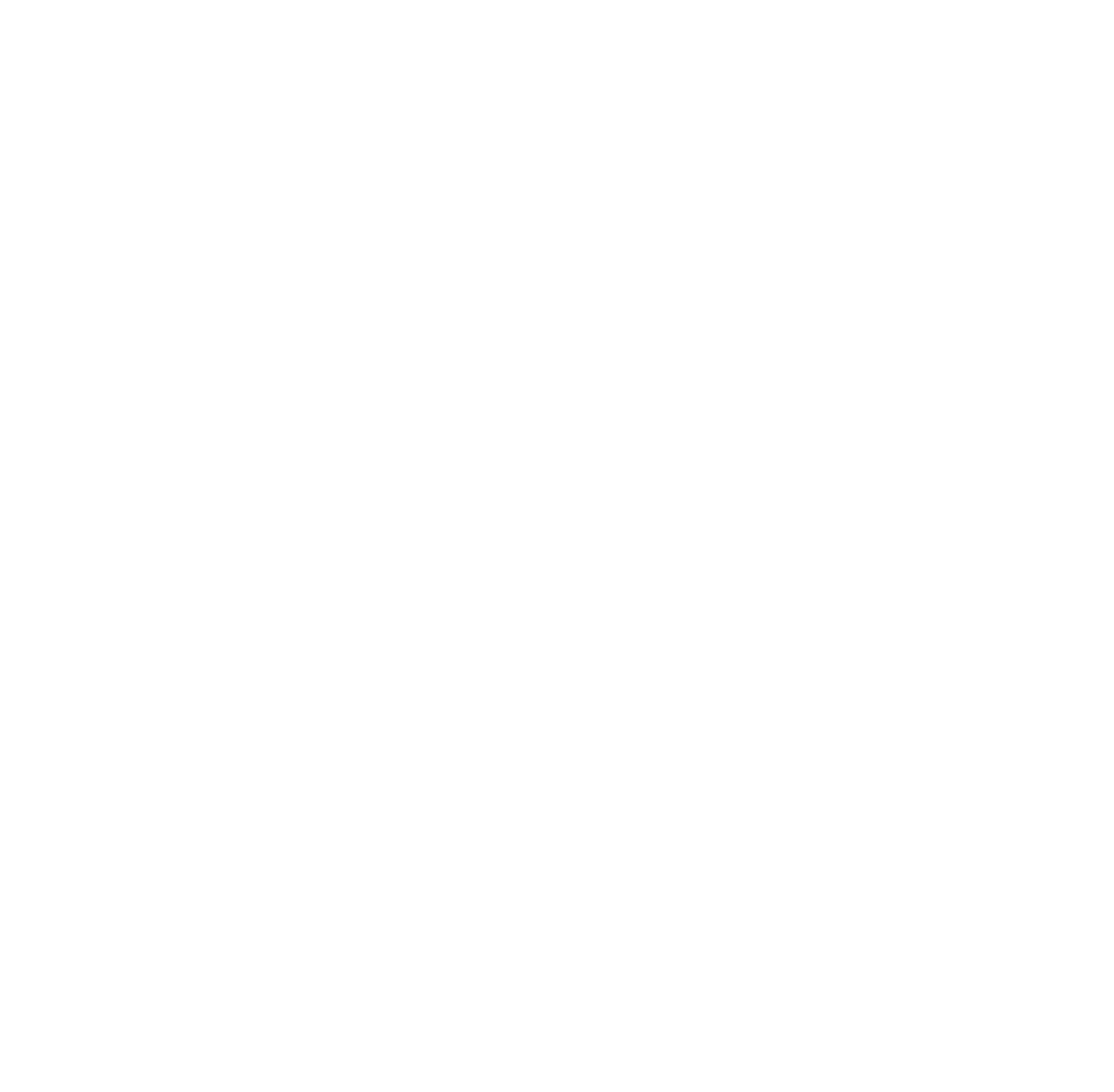 brain - white